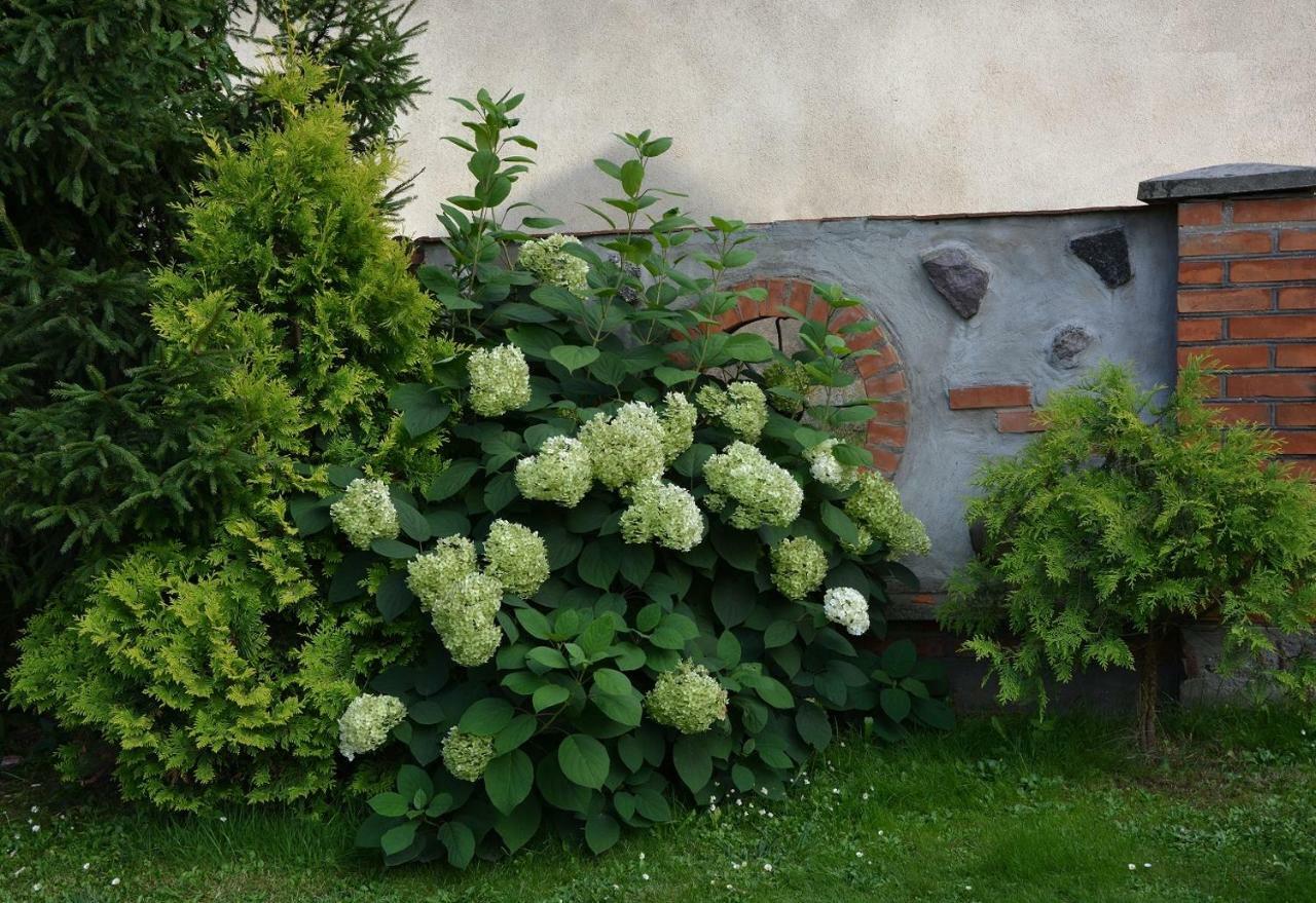 Agro Przy Kominku Rozogi Exterior foto
